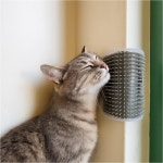 고양이 코너빗 셀프그루머 모서리 털갈이 브러시 무타공 부착 나사포함 그루밍 장난감 : 에이치제이컴퍼니-