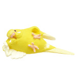 4508-1 [풀세트] 작은 새의 휴일 릴렉스 잉꼬 일본 가챠 새 조류 ことりの休日 くつろぎインコ 전종 완성형 풀셋 : 상상플러스 가챠