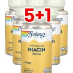 [5+1] 솔라레이 서방형 나이아신 250mg 100베지캡슐 : 웰스히어로