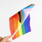 단체 동호회 여행 등산 가벼운 소형 무지개 깃발 : HW마트1