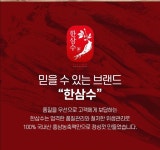 대한홍삼진흥공사 고려 6년근 국내산 홍삼정 골드 건강 선물 + 쇼핑백 세트  4병 : 올유케어