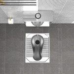 재래식 변기 좌변기 푸세식 화장실  앞X미 : Chaleur
