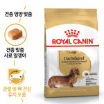 로얄캐닌 애견 닥스훈트 전용 건식 사료 어덜트 1.5kg : 하이브마켓스토리