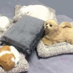 SM 탈취인형 제습 잠자는강아지 소형 펫 펫잠자는yza181 : 핑크미P