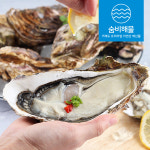 산지직송 거제 삼배체 굴 각굴 석화 대왕굴 2kg : 숨비해물