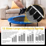 힐리치 탄소강 확장 스프링 세트 H5825 소형 다용도 수리용 : 제이에이치상사4