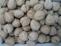 호두 (1kg/3kg) : 주식회사 서해체인스토아