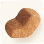 진정3호 강아지사료 1.5KG 슈나우저 어린개사료 : 더진정 삼호 추천샵