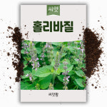 홀리바질씨앗 100립 툴시 툴라시 씨앗 동남아 허브 향신료 종자 : 씨앗팜