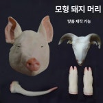 돼지머리모형 인조 가짜 창업 정육점 제삿상 고사 모형 단품 : 팩토리해커스
