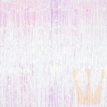 라온지니 파티 커튼 오로라클리어 홈파티소품 포토존소품 : RAONJINNY