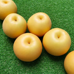 진이네농장 산지직송 상주 가정용 선물용배 과일선물세트 5kg 7.5kg 15kg : 진이네-농장