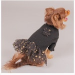 D11 애견 옷 슈퍼스타 원피스 블랙 니트 프릴치마 : NITTO