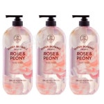 온더바디 수퍼보타닉 로즈버베나 바디워시 900g 3개 : 한빛유통가