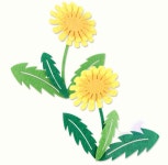 늘SIX 펠트 3500 민들레꽃 신형 어린이집게시판꾸미기 환경판꾸미기 : 식스픽