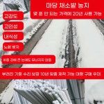 강선활대 100개 파이프 온실 지지대 골조 A. 두께 4mm 1.2m 솔리드 막대 10개 : 카펜