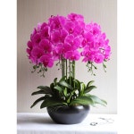 조화 난초 화분 꽃 식물 인테리어 잎 호접란 장식품 마젠타 : 트러스트Pick
