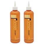 DK 디케이 디자이닝 컬 센스 이온 펌 1 2제 410ml : 파주최저가아울렛