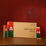 정관장 홍삼진고 이뮨스틱 홍삼원기 10g x 30포 에브리타임 면역력 명절선물 로얄 선물 : 프리미엄 굿즈 앤 서비스
