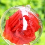 et 보물찾기놀이 파티장식 뽑기용품 홈파티용품 투명 플라스틱 볼 2p세트 12cm : 애뜨왈