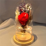 감성 led 꽃 무드등 플라워 꽃 무드등 장미 인테리어 조명 : 욕실 주방 청소 화분 정리