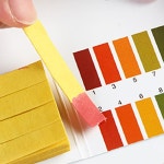 리트머스 종이 실험 중성 알카리성 산성 산도 측정 : 팔도직송