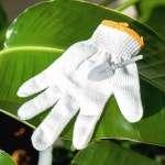 KC인증 어린이 무지 목장갑 미술수업 텃밭 농장 체험학습용 장갑 : 신원상사