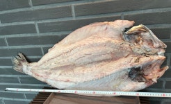 대민어 여수특산품 반건조생선 선물세트 길이70cm,무게3kg (내외) 1kg당 50,000원 : 삼가수산