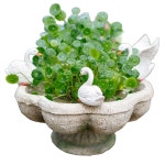 정원 조형물 거위 동물 백조 가드닝 펜션 장식 조경 마당 : 글로브스텝 마켓