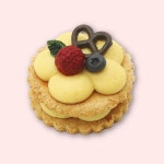 견우재 강아지 타르트 미니타르트 수제간식 생일케이크 : 견우재 수제간식 - 순수