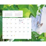 일본 직배송 떡볶이 여행하는 고양이 달력 2026 탁상판 「매일이 고양이의 날」 보호 단체에의 기부 첨부 : 마롱문방구