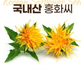 홍화씨환 효능 토종 가시 홍화씨 무농약 홍아씨환 국내산 약2개월 : 효능 좋은 영양제 약 진액