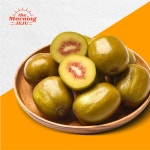 더모닝제주 레드키위 제주농장 고당도 프리미엄 키위 산지직송 1.5kg 2.5kg 4.5kg : 더모닝제주
