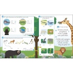 모든 주니어를 위한 영어 초급 과정 (모두 DK 영어) : 아뜰리에홈