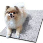 강아지방석 강아지쿨매트 애견 대리석 스노우 1P 시원 여름 : 쏘굿텐