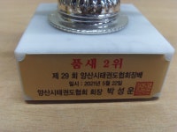 이빵 태권도 상패 트로피 장식품 중고 수집용 : 중고다팜