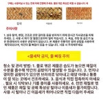 라탄공예 짚공예 자연 라탄 인테리어 소품 식탁매트 테이블매트 플레이팅 오렌지 45x30cm : 루미퍼센트