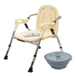 디에스메디텍 DS-117 고급형 고령자용 이동변기 : 실버플라이