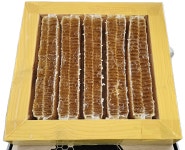 토종 벌집꿀 3.6kg 벌꿀집 지리산 밀랍 토종꿀 직접생산 : 지리산 벌꾼