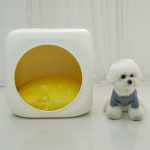 강아지하우스 아이보리 레드퍼피 하우스 홈펫 : 반려동물왕국