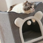 고양이 텐트 숨숨집 하우스 2층 다묘형 아파트캣하우스 : 리은온