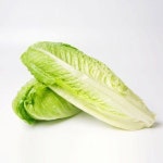 통 로메인 상추 2kg : 에이휴니