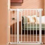 강아지울타리 개펜스 철장 안전문 대형견 가림막 애견 고양이 애완견 펜스 : 거상브릿지