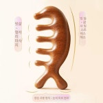 교정 5핸드메이드 샌달우드 브러쉬괄사 바디 헤어 수면 5구 : 행복느낌마트