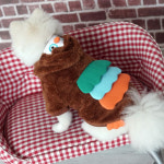 강아지후드티 펫패션 강아지따뜻한옷 : 택배오는날