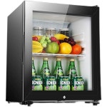 미니냉장고 투명 유리 쇼케이스 신선 술장고 보관 모텔 미니 음료 음료수 소형냉장고 : Hephaistostore