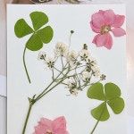 네잎클로버 핑크꽃 압화 드라이플라워 액자 컵받침 티코스터 캔들 만들기 : 김동댕이네