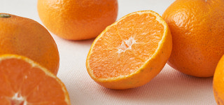 [귤로장생] 제주 감귤 2.5kg (비가림) : 컬리N마트