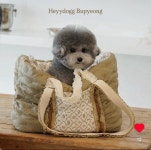 타래세트  : 헤이도그 시티