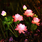 선물에 조명방수 야외조명 연꽃 조명안뜰스친구를위한 적합 1pc : 에스유19